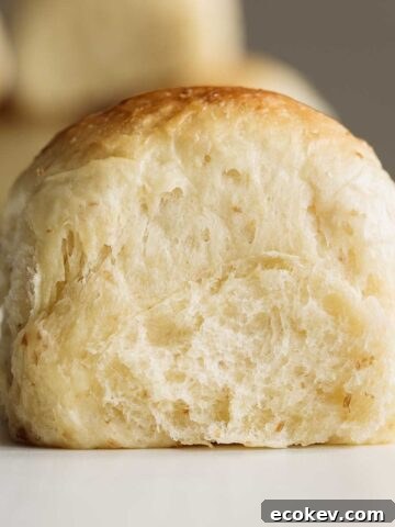 Close up on sourdough dinner roll, showing its soft crumb.