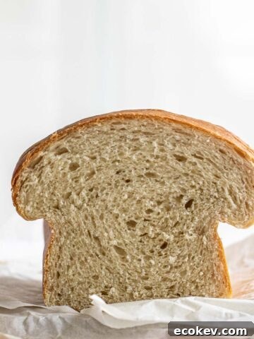 The soft interior of a sourdough sandwich bread.