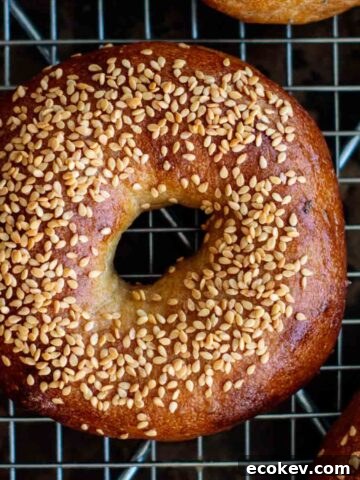 golden brown sourdough bagel with sesame seeds