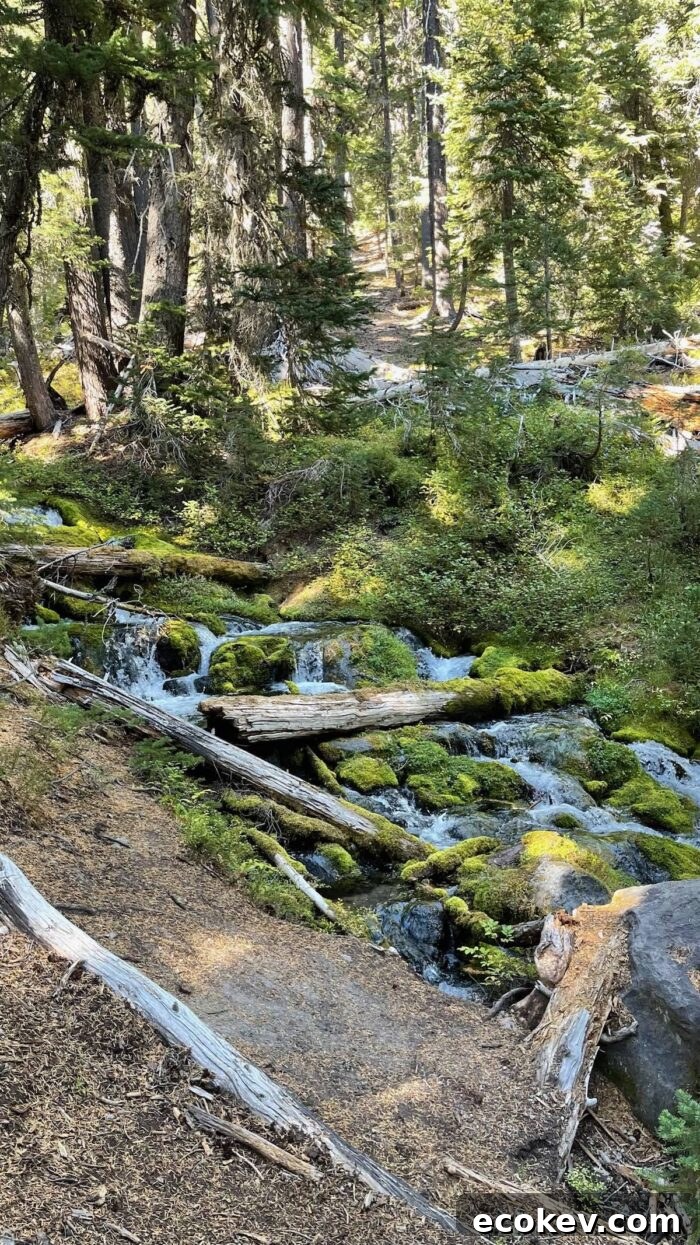 Bend Oregon Mountain Hike