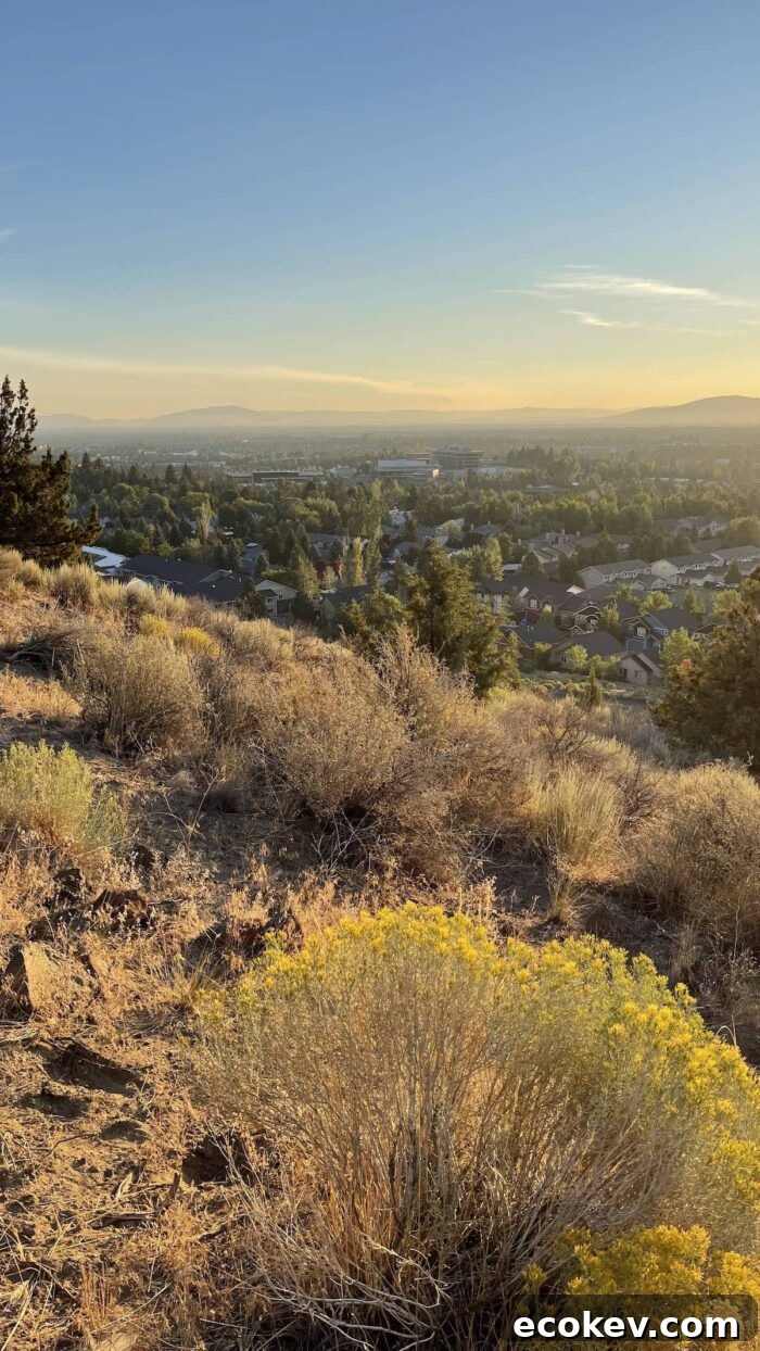 Bend Oregon Pilot Butte