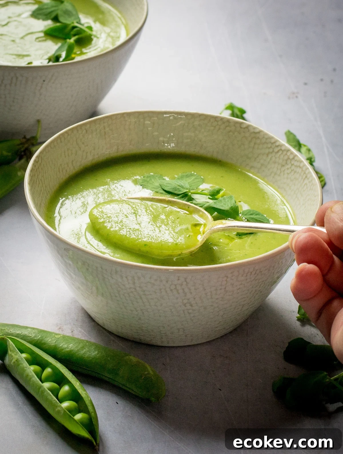 Mange Tout Soup