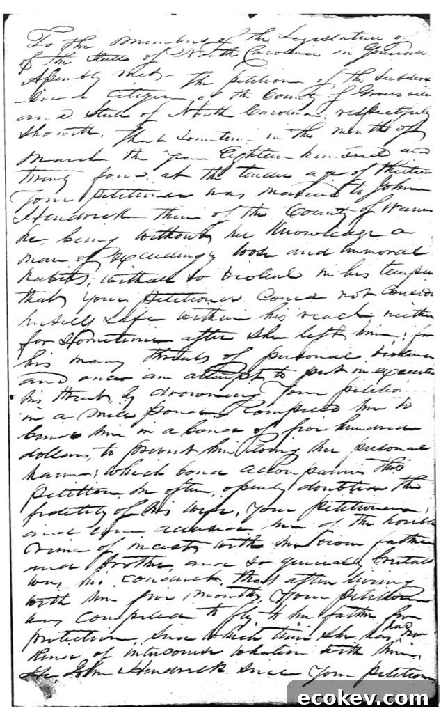 Old document of a divorce petition to the NC General Assembly.