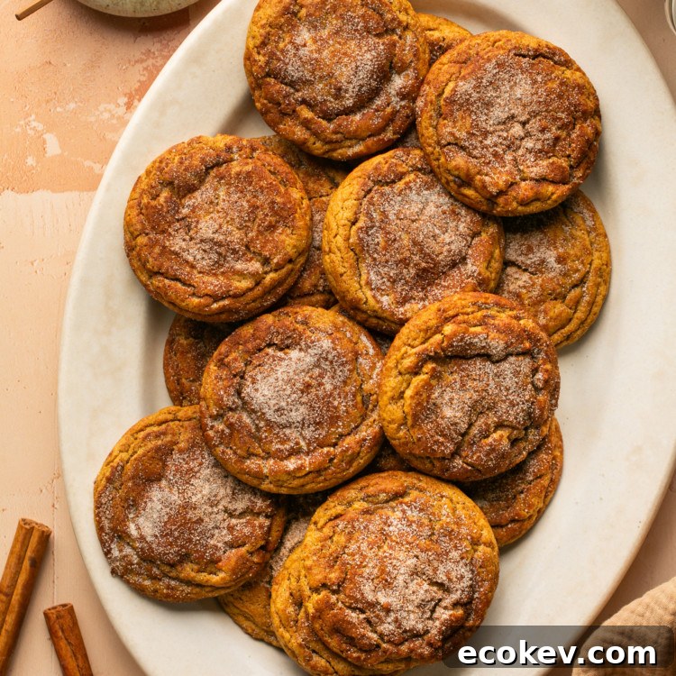 a white oval plate with gingerbread snickerdoodle cookies topped with cinnamon sugar