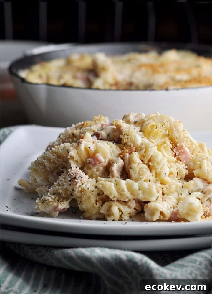 Ham and chicken with pasta served and ready to eat