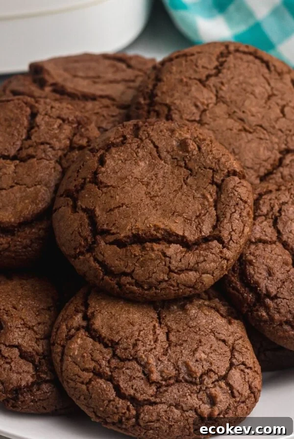 Gooey chocolate cookies on a white plate in front of an air fryer.