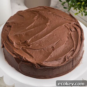 Air fryer cake frosted with chocolate frosting on a white cake stand.