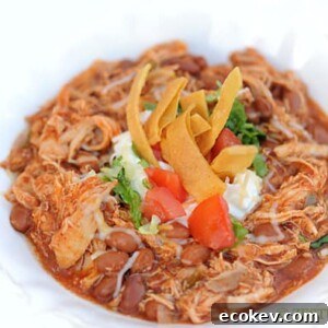 closeup bowl of chicken chili with toppings