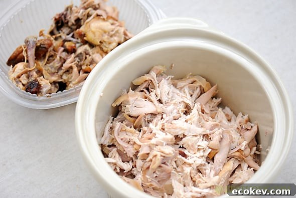 bowl of shredded chicken