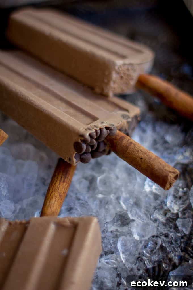 Mexican Chocolate Popsicles Recipe