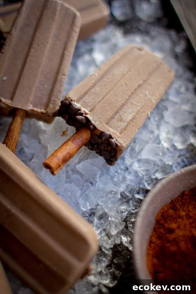 Mexican Chocolate Popsicles Recipe