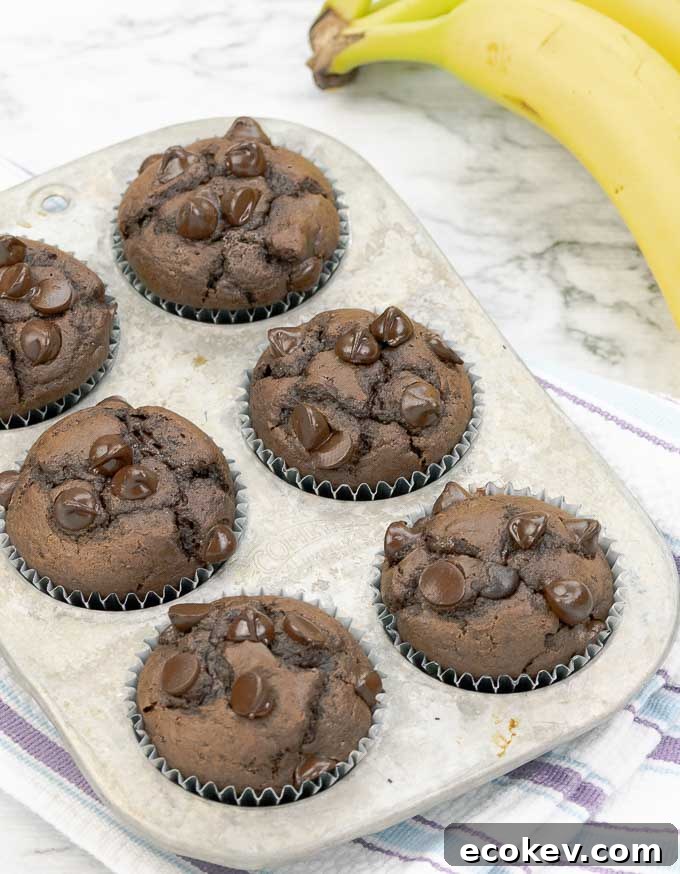 six double chocolate banana muffins in a metal muffin tin next to bananas