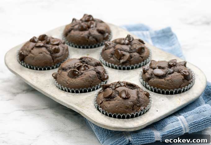 six double chocolate muffins in a metal muffin tin