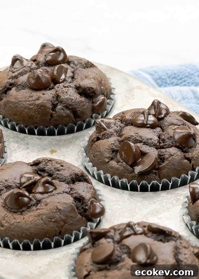 four double chocolate banana muffins shown up close