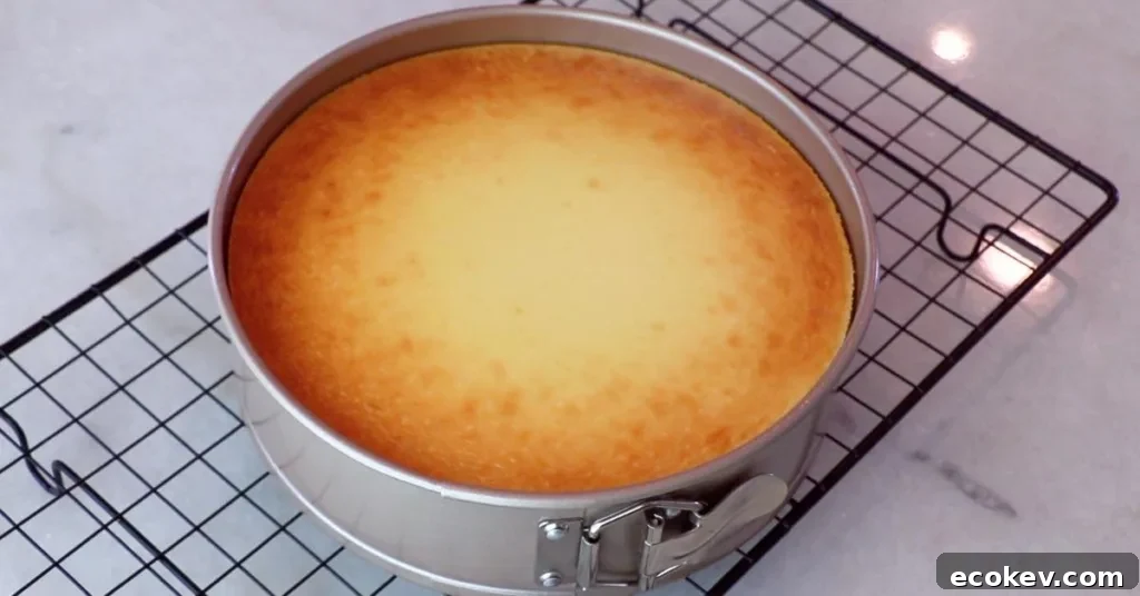 baked cheesecake cooling on a rack