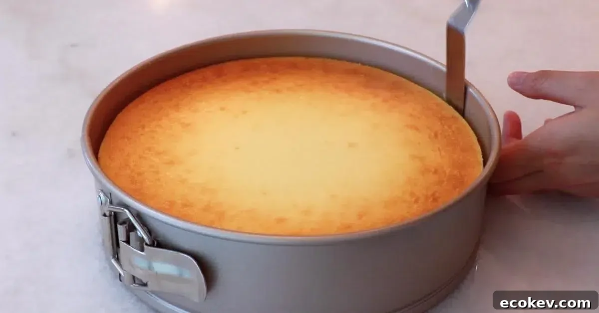 removing a chilled cheesecake from a pan