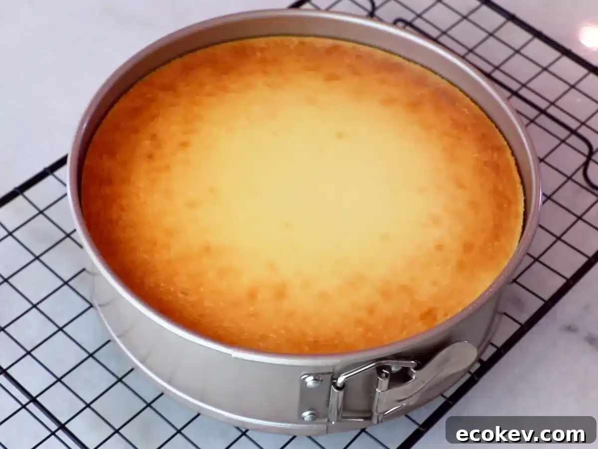 a 9-inch baked cheesecake