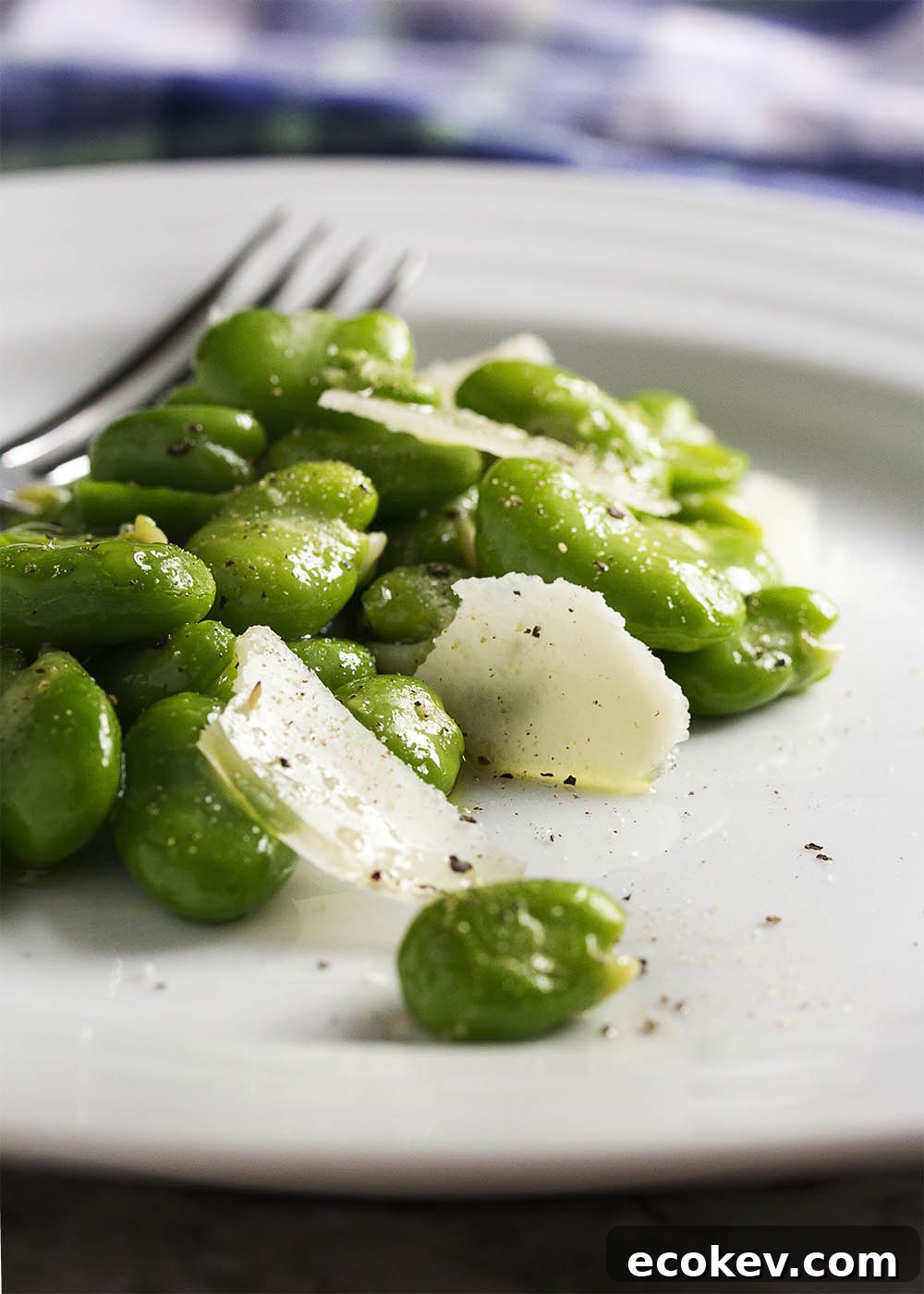 A simple and elegant fresh fava bean and parmesan salad ready to serve.
