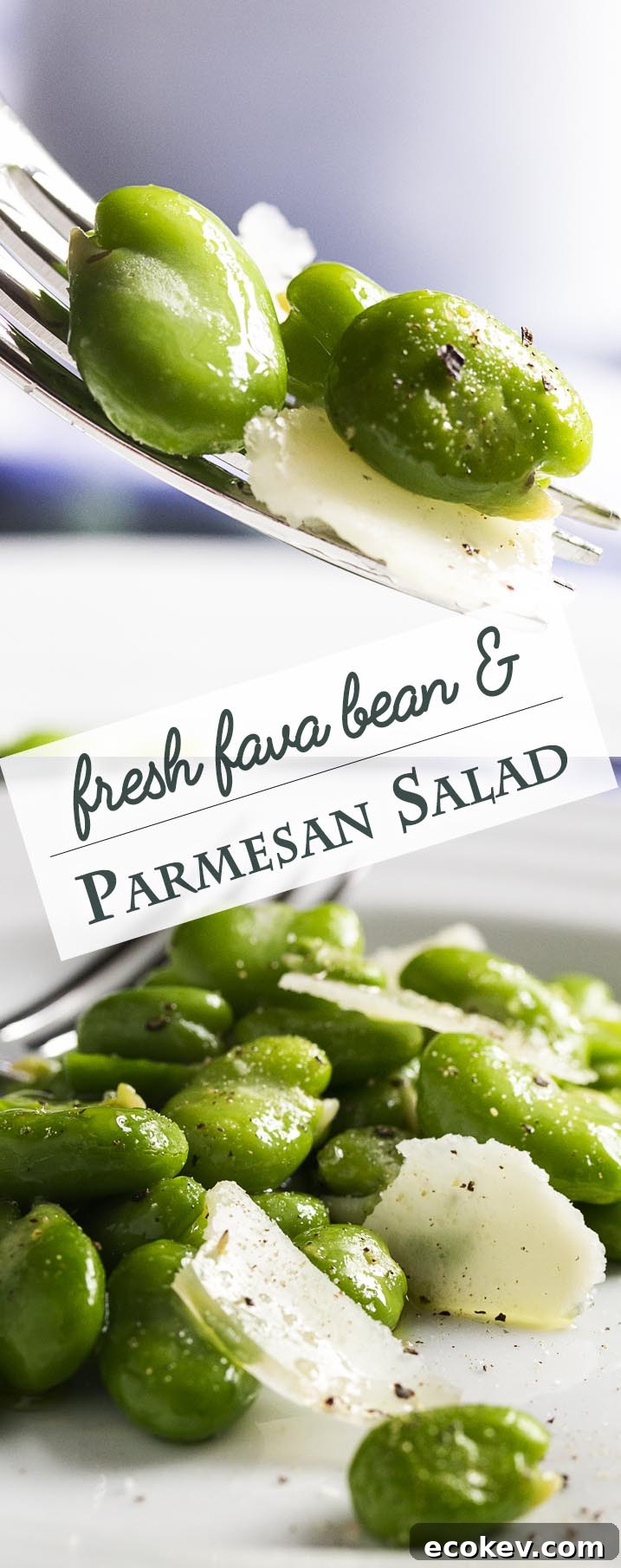Fresh fava bean collage.