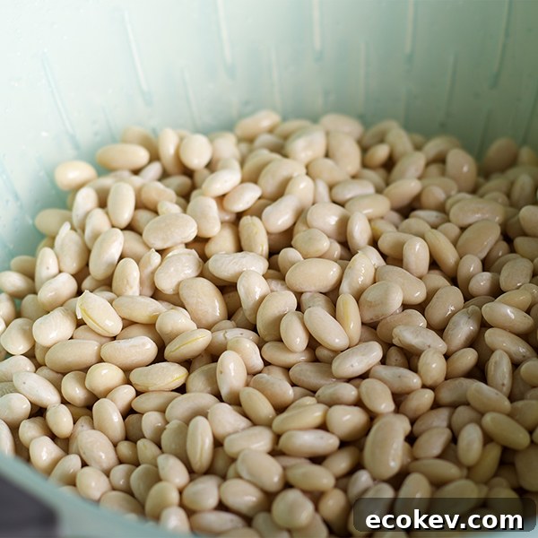 A colander of soaked white beans ready to cook.