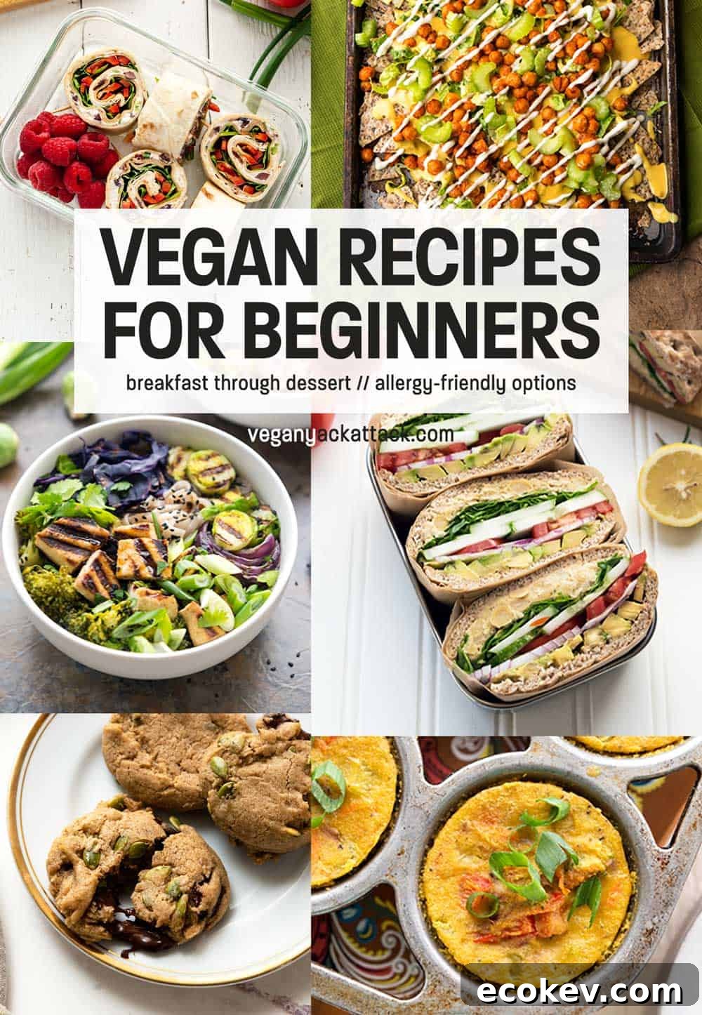 Image collage of several easy vegan recipes, like nachos, cookies, sandwiches and soup with text overlay reading 'Vegan Recipes for Beginners'