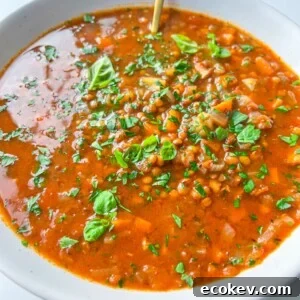 A bowl of tomato-based lentil soup garnished with herbs.