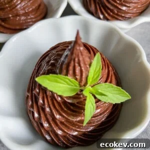 A white bowl filled with swirled chocolate mousse, topped with mint.