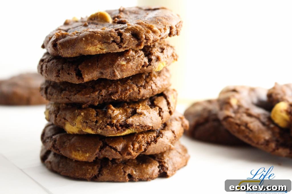 Gluten free brownie cookies