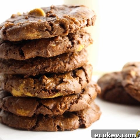 Gluten free brownie cookies