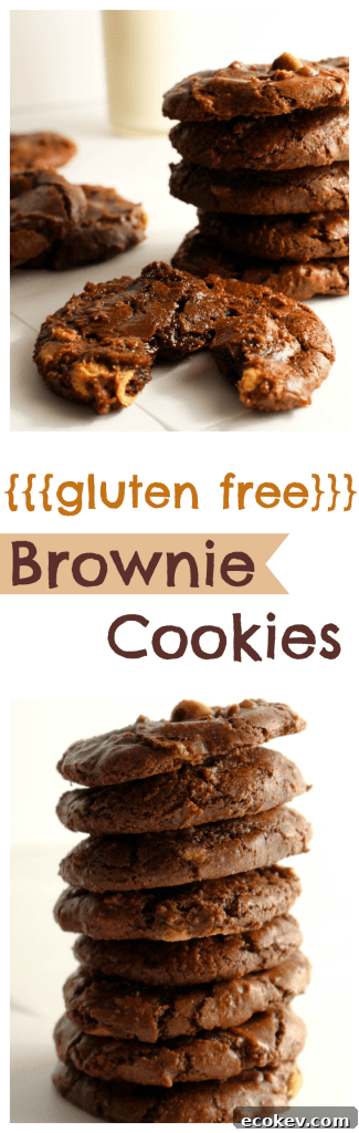 Gluten free brownie cookies
