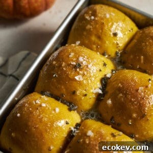 Closeup of Sourdough Discard Pumpkin Dinner Rolls in a baking pan.