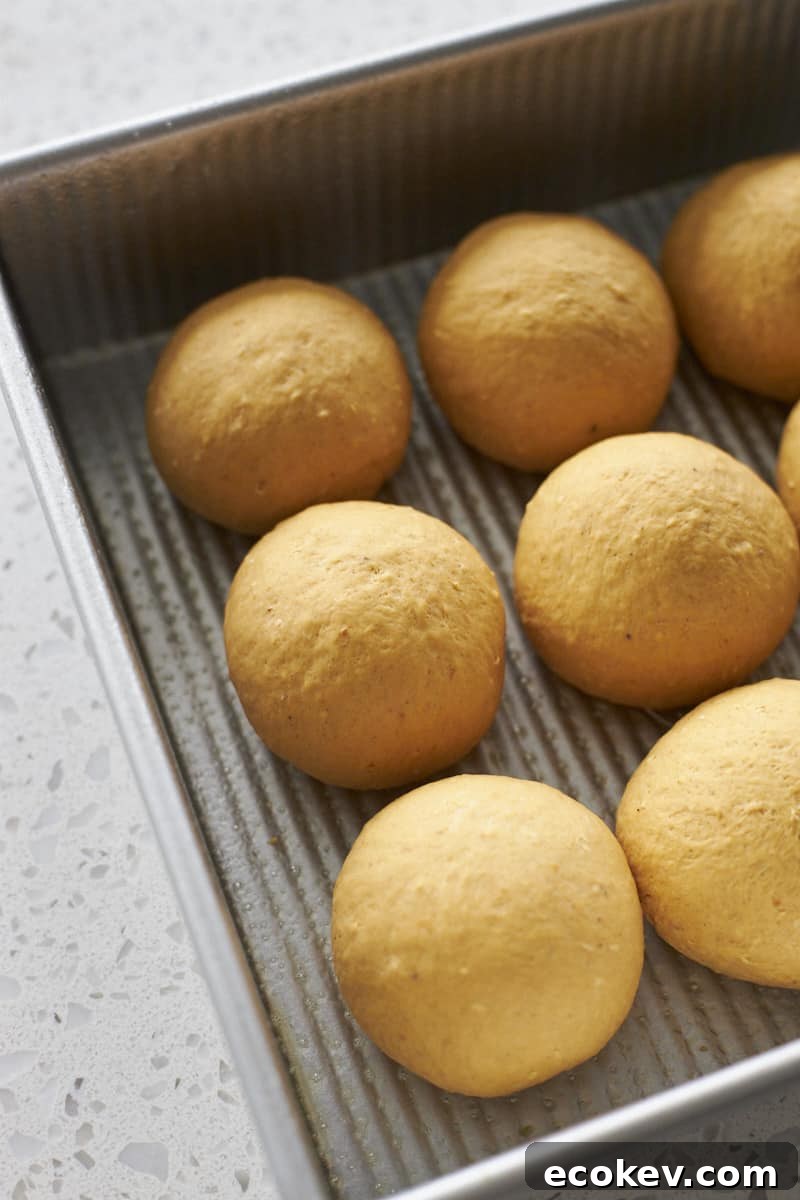 Sourdough Discard Pumpkin Dinner Rolls shaped in a baking pan.