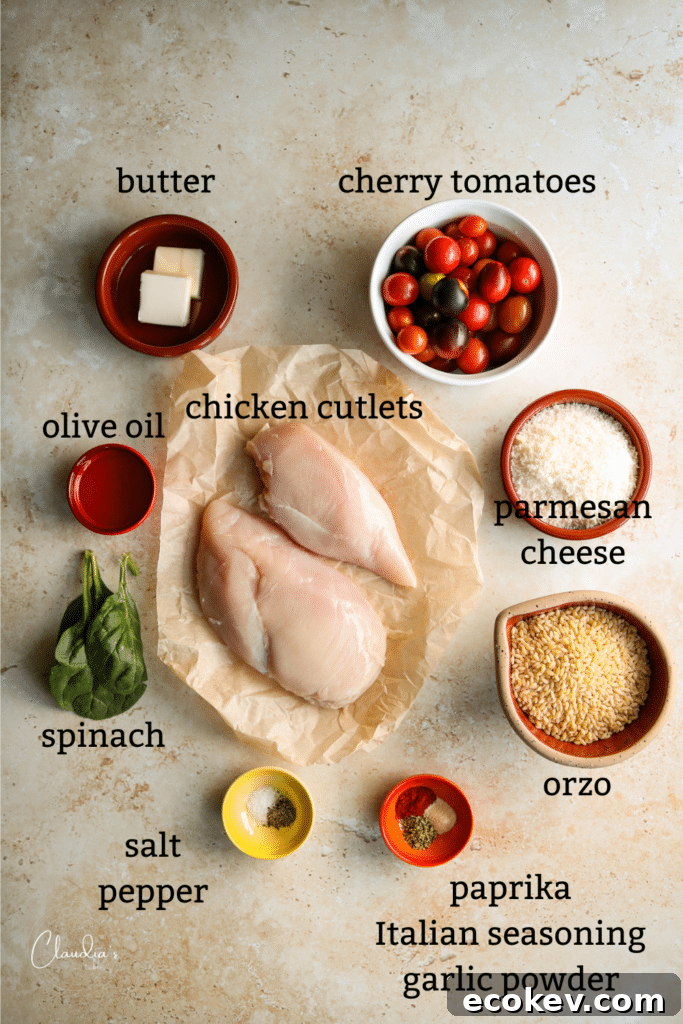 main ingredients top view for this recipe 