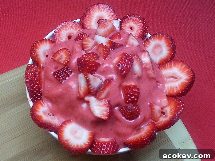 Strawberry Frozen Yogurt Made in The Blender