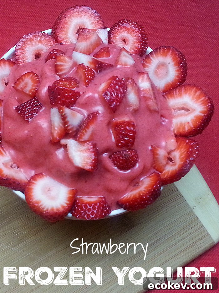 Strawberry Frozen Yogurt Made in The Blender