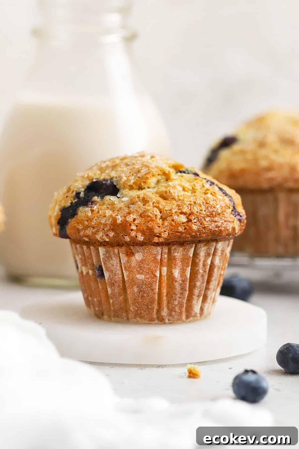 bakery-style gluten-free blueberry muffins with fresh blueberries