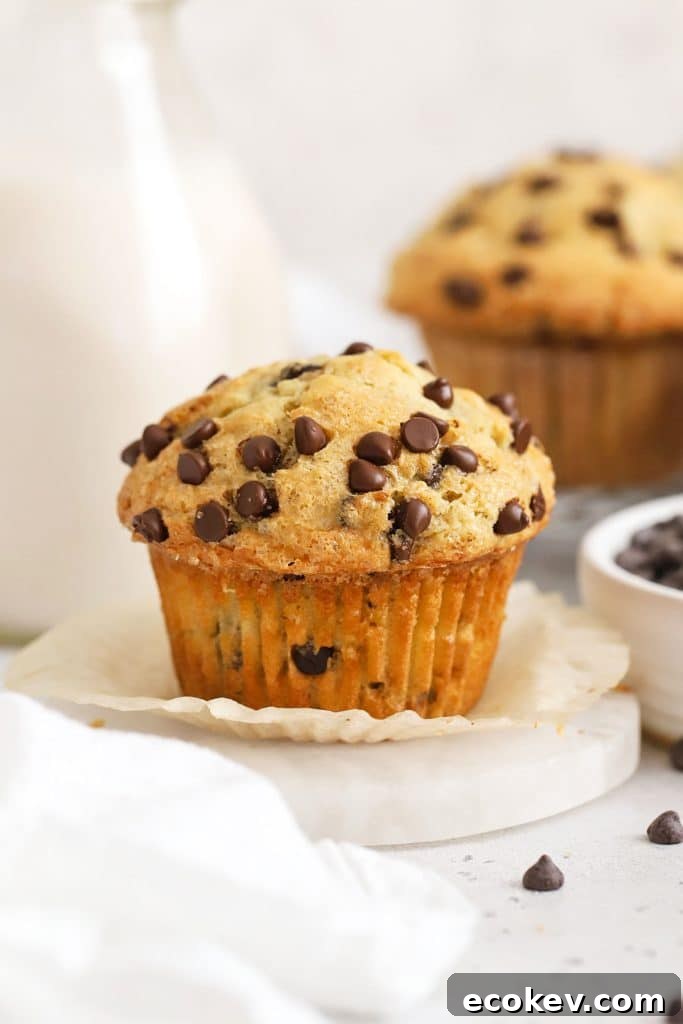 Bakery style gluten-free chocolate chip muffins with a bottle of milk