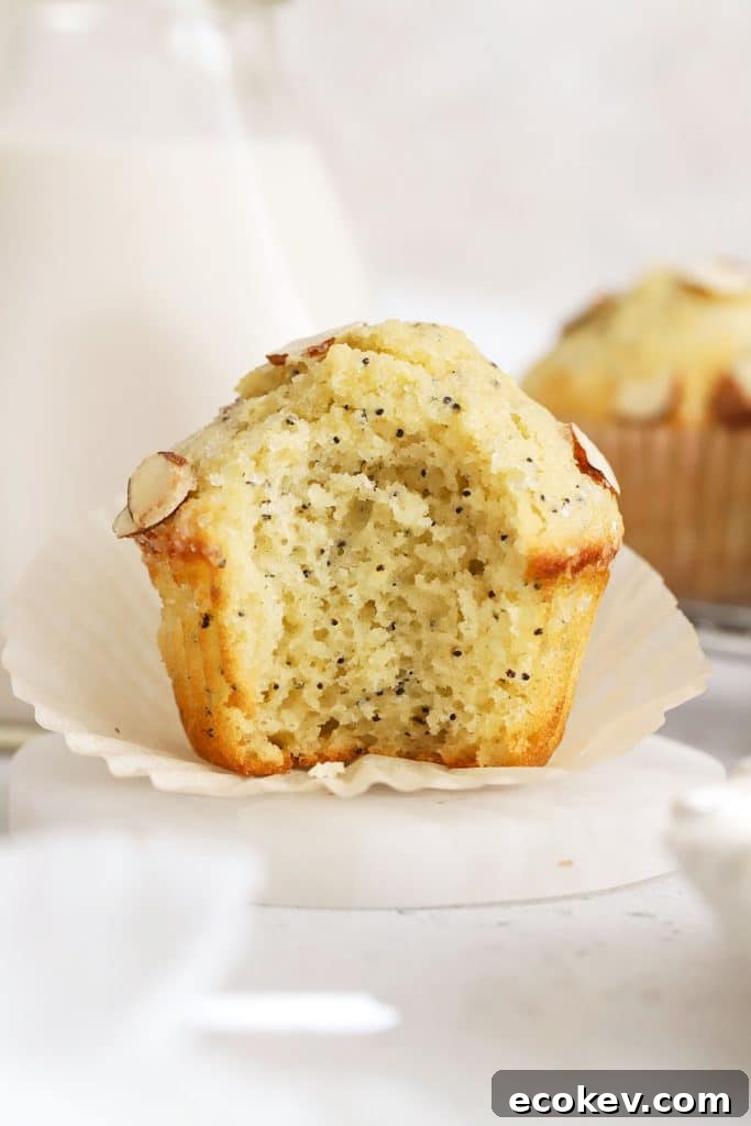 a gluten-free almond poppy seed muffin with a bite taken out of it to show the fluffy texture