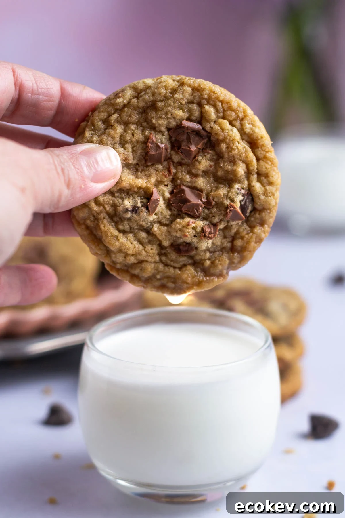 egg free chocolate chip cookies being dipped into milk
