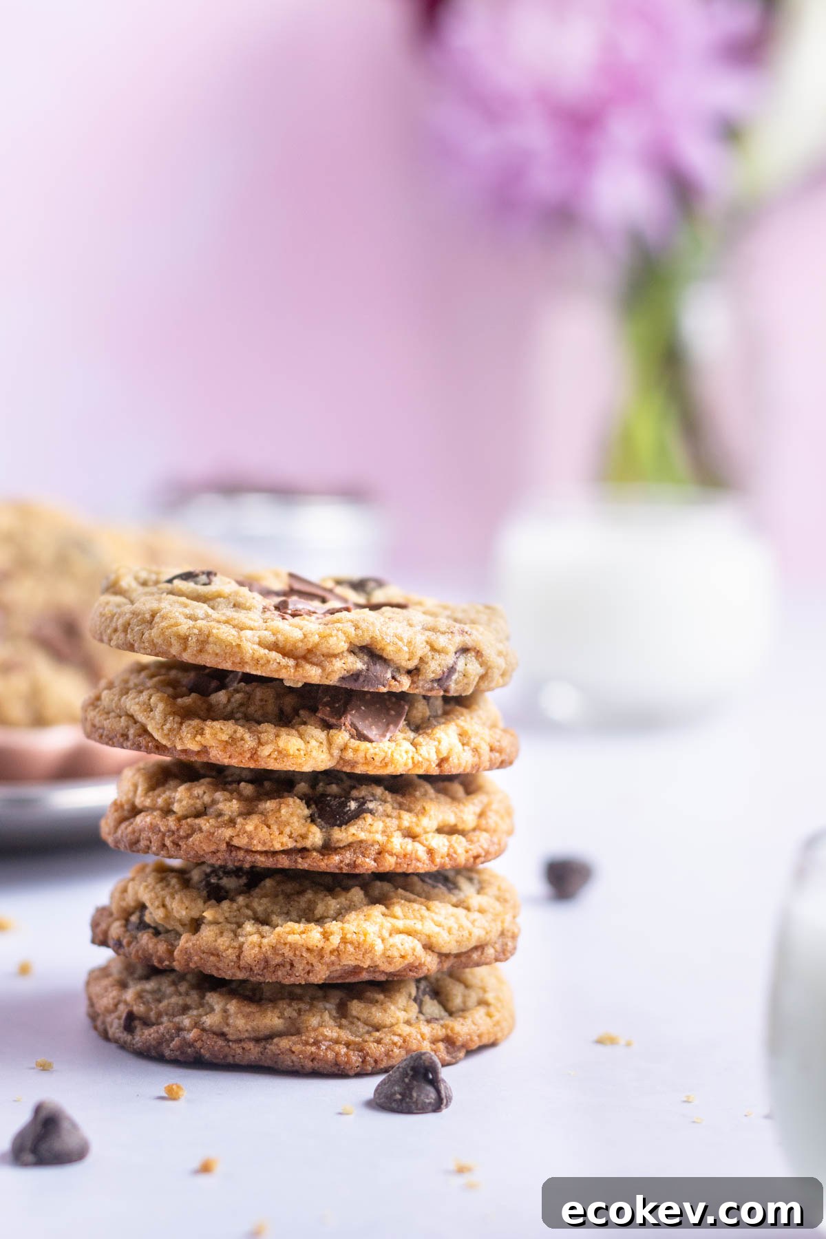 stack of egg free chocolate chip cookies