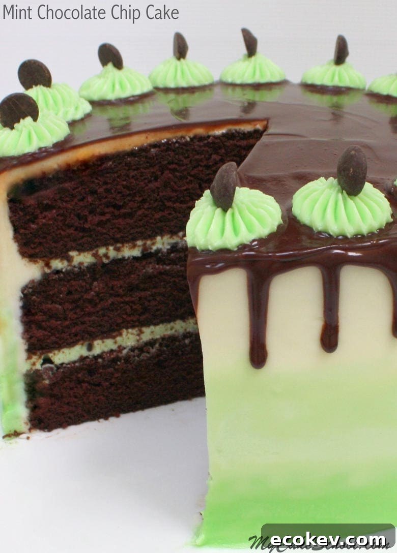 Mint Chocolate Chip Cake