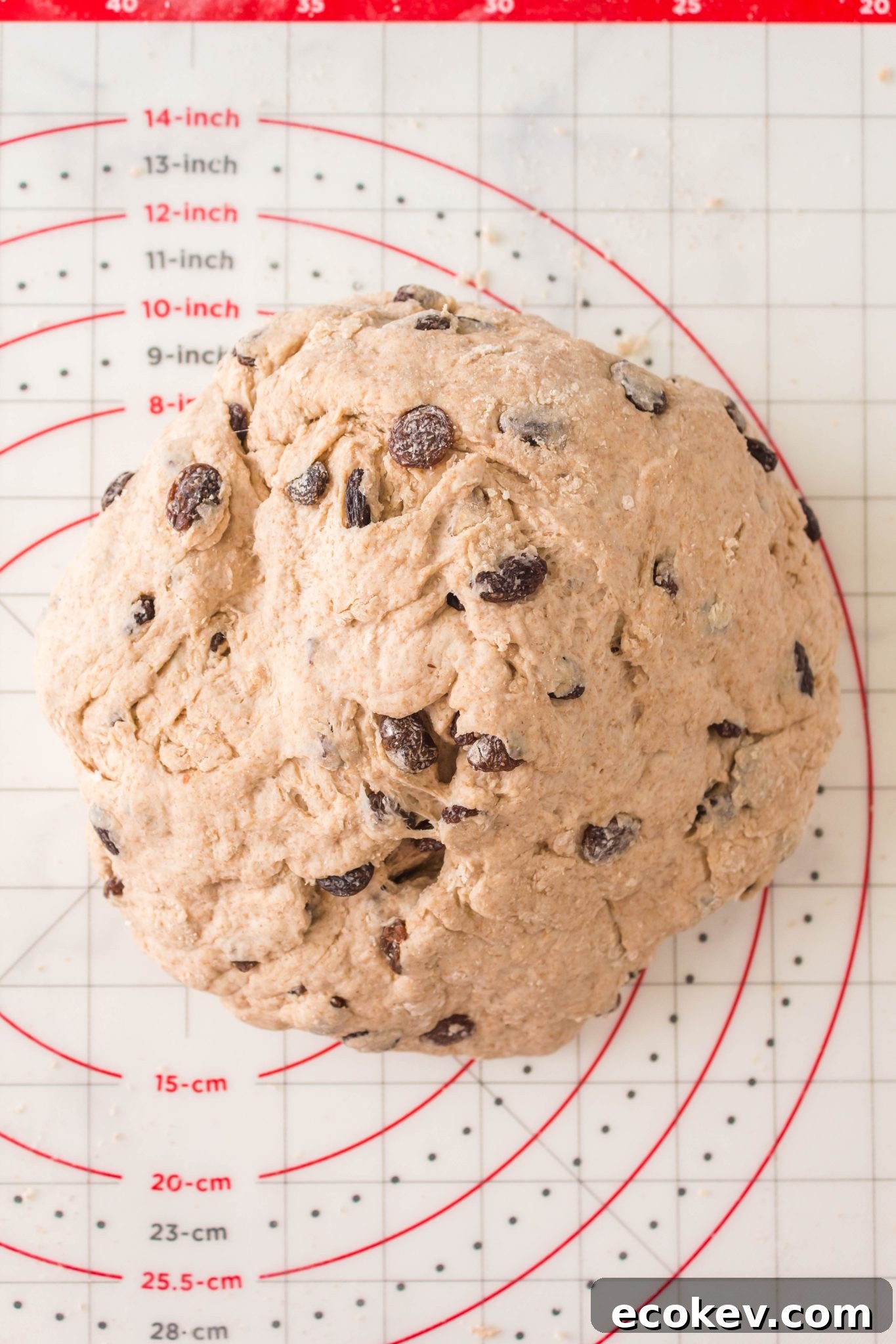 Soda Bread dough with Raisins