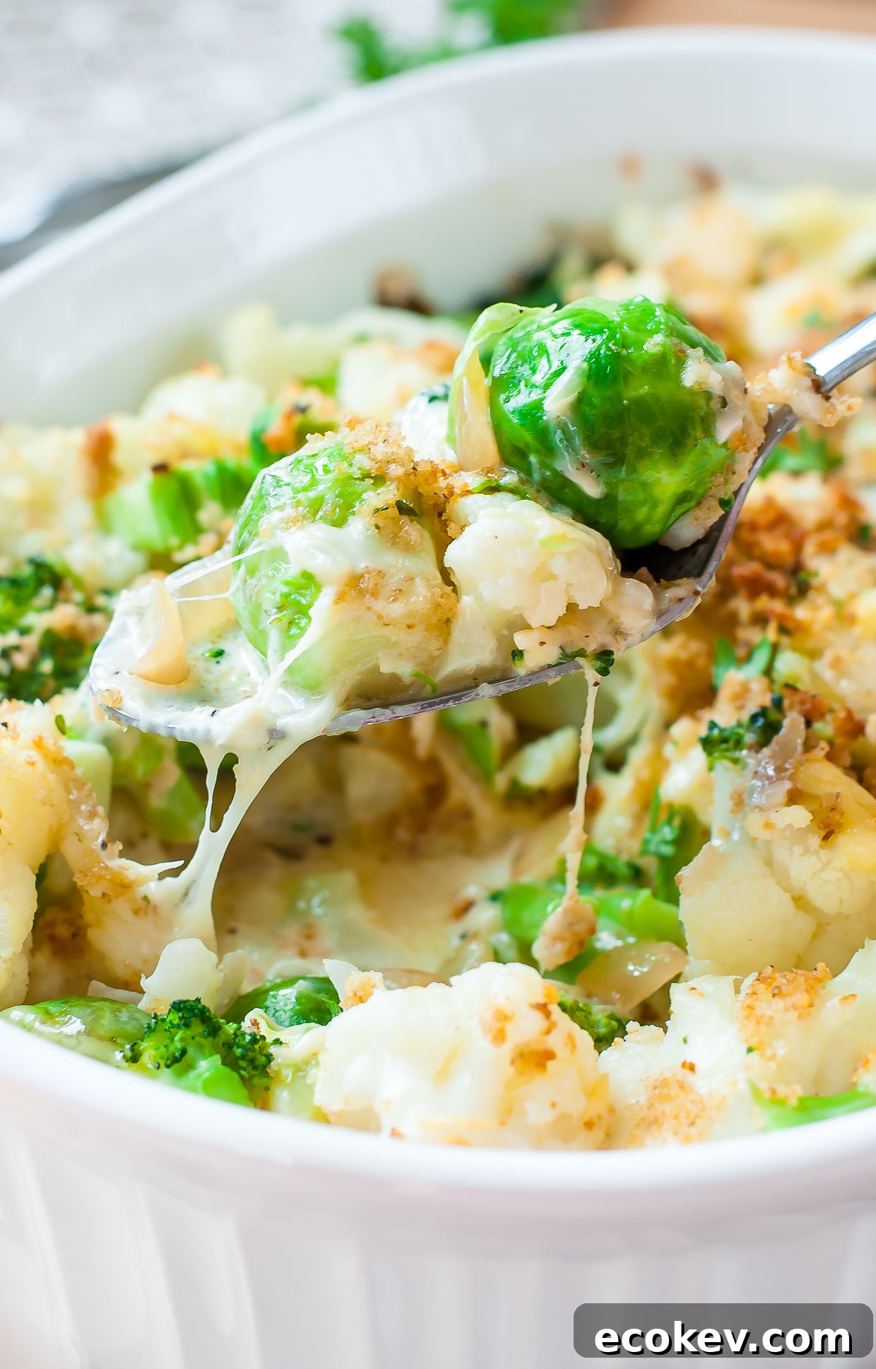 Broccoli Cauliflower Brussels Sprout Gratin