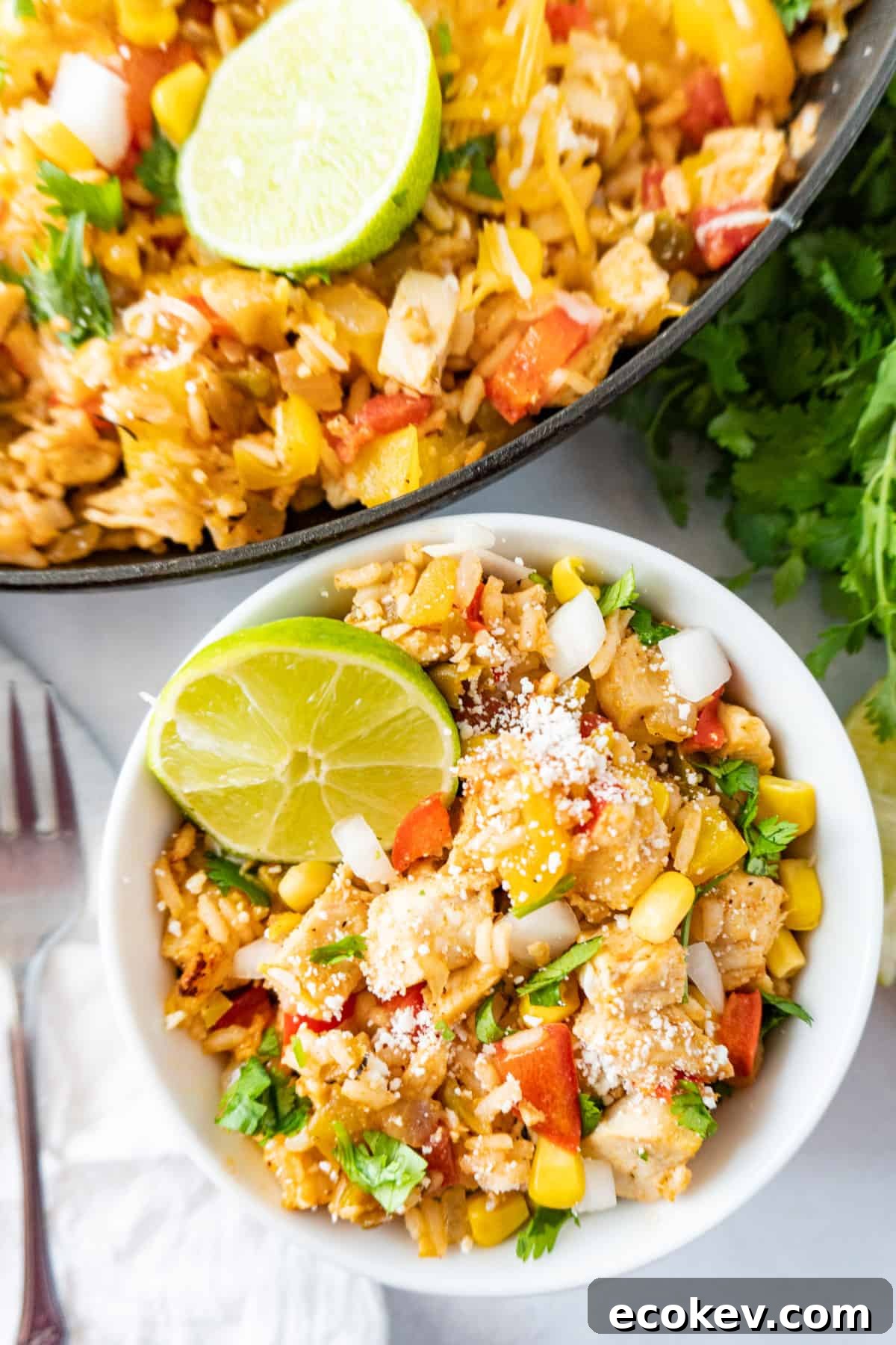southwest chicken with lime slice in it