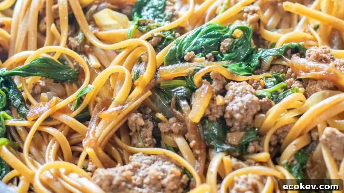 18 Ground Beef Meals Ready in 30 Minutes 11 Beef And Spinach Noodles