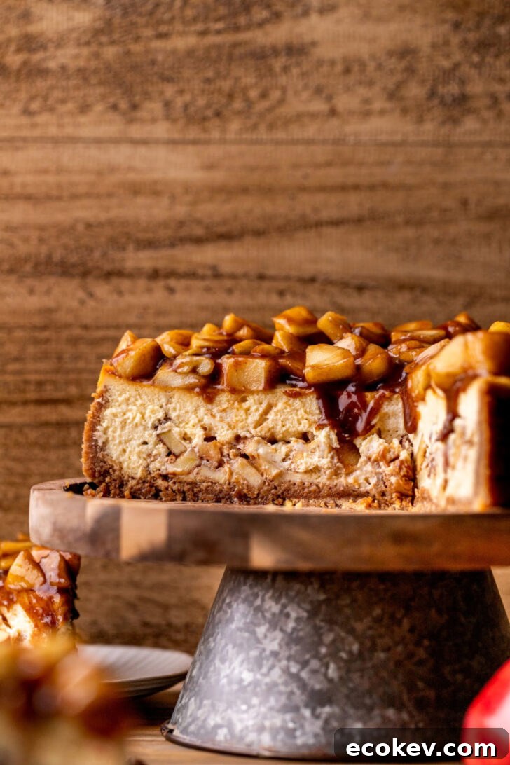 Side view of cheesecake.