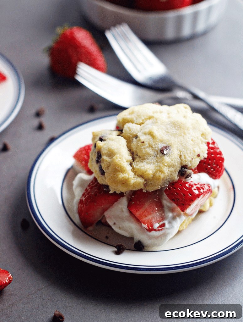 Plate of chocolate chip strawberry shortcake