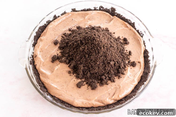 pile of crumbs in top of the pudding