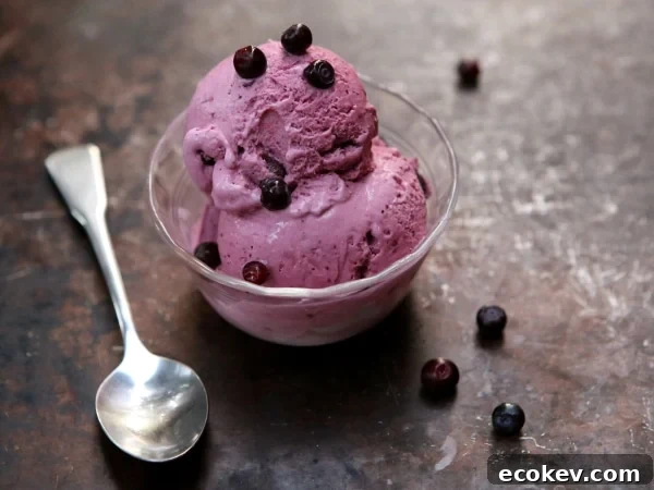 Huckleberry Ice Cream from completelydelicious.com