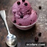 Huckleberry Ice Cream from completelydelicious.com